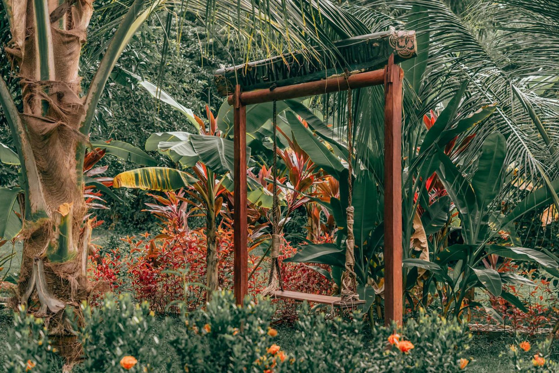 אל סאינו Magic Green Dentro Del Parque Tayrona מראה חיצוני תמונה
